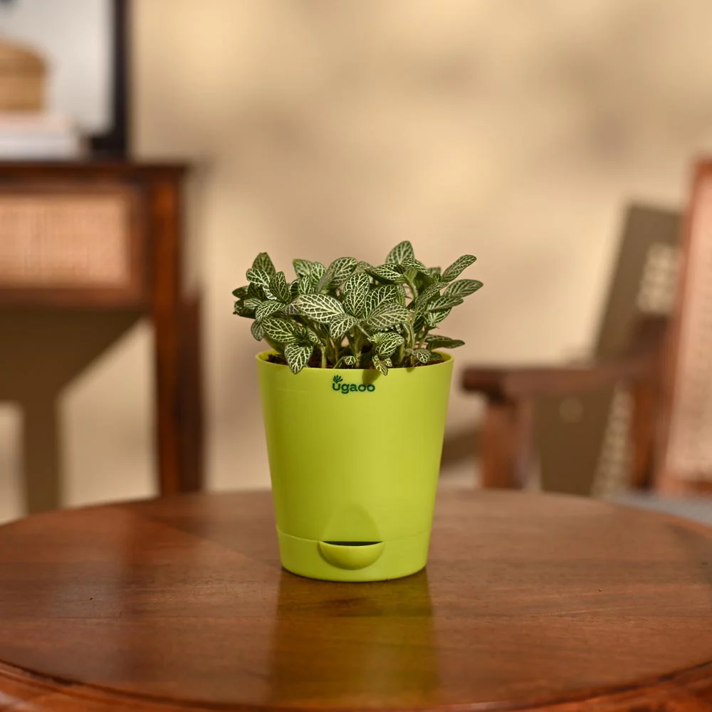Thumb 5